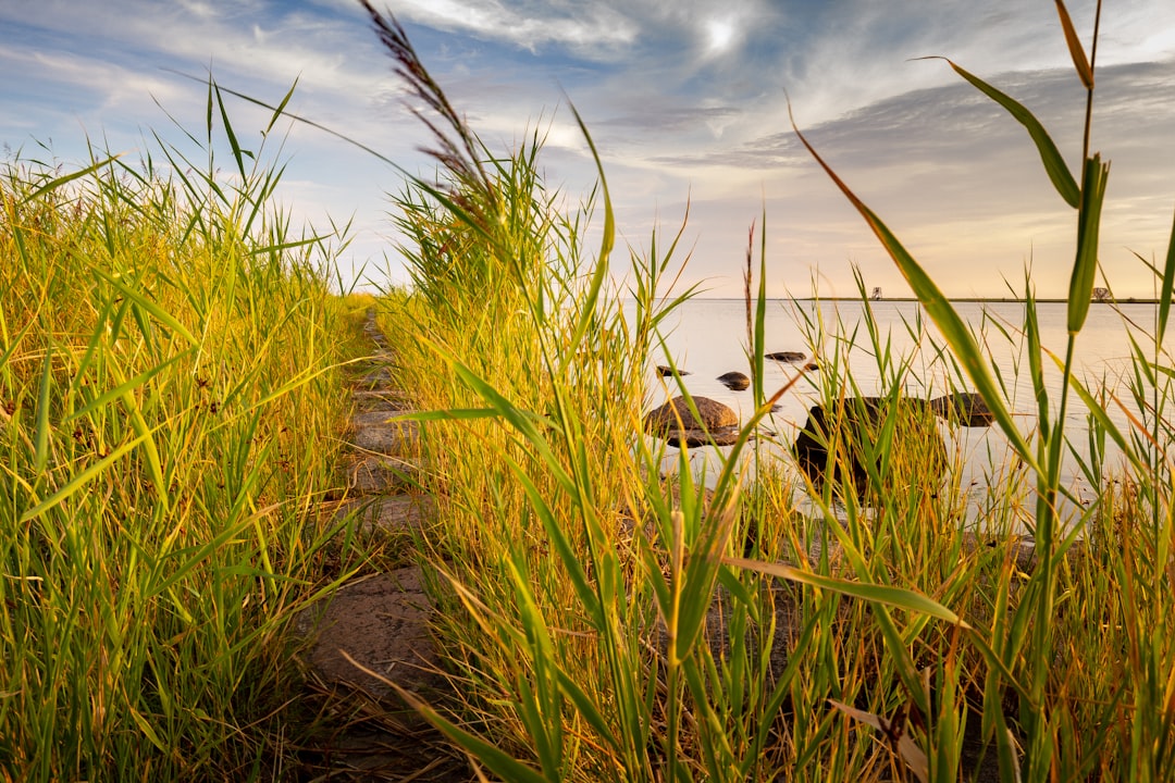 Nature reserve photo spot PÃ¤rnu Soomaa rahvuspark