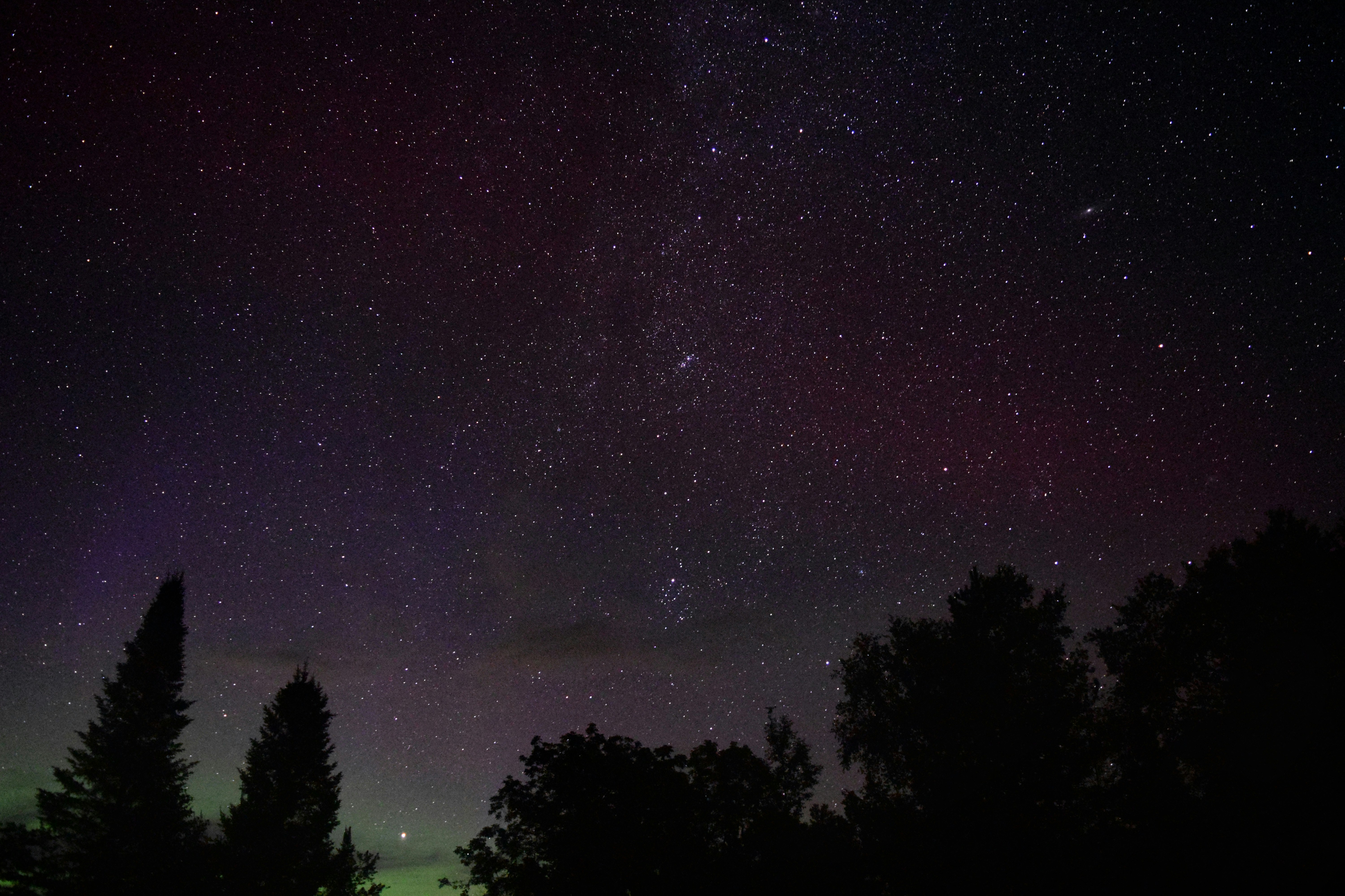 Photo by curious_gage