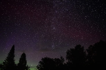 A starry night sky filled with countless stars, some appearing brighter than others. Silhouettes of trees frame the bottom of the image, adding depth to the scene. A faint gradient of color hints at the presence of an aurora near the horizon, creating a mystical atmosphere.