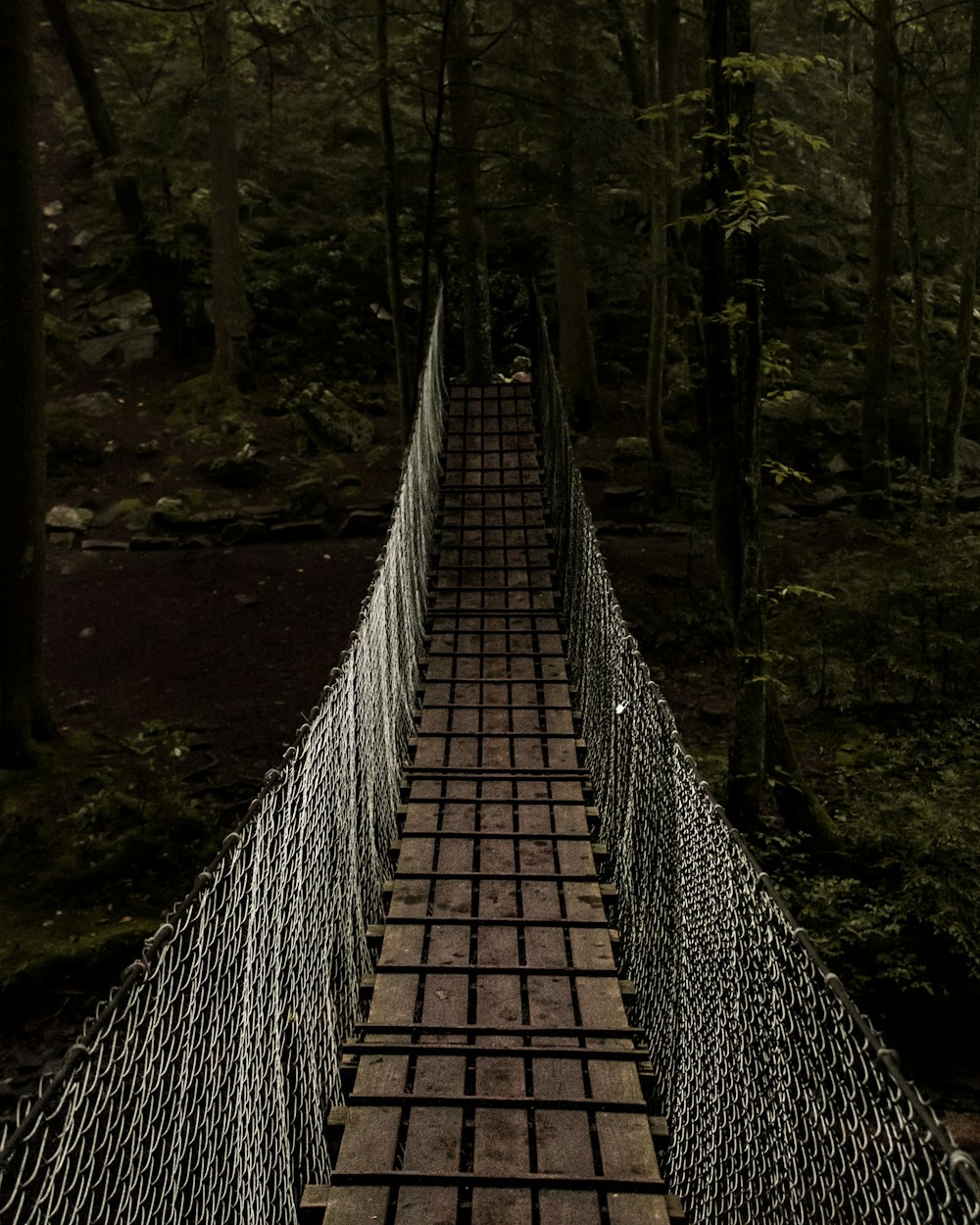 Brücke in Richtung Wald