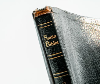 Santa Biblia book