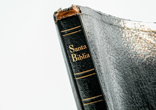 Santa Biblia book