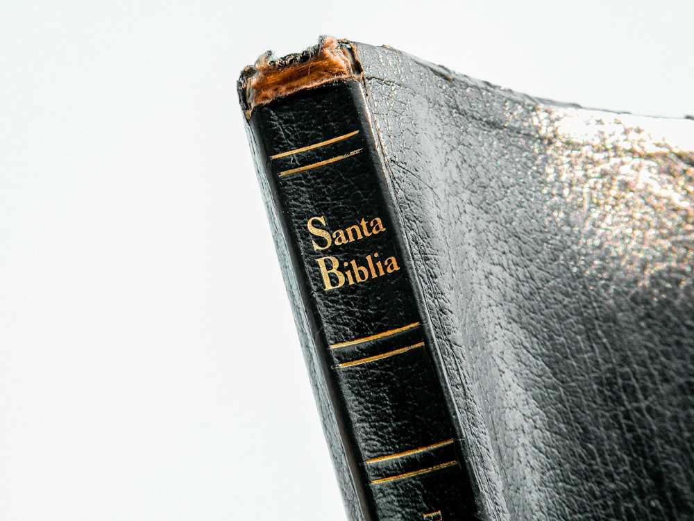 Santa Biblia book