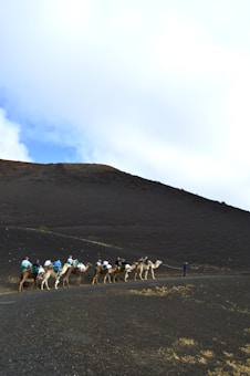 A group of camels, each carrying riders, walks in a single file across a barren, dark volcanic landscape. A person, possibly a guide, leads them along a path. The sky is mostly cloudy, creating a contrasting backdrop to the stark terrain.