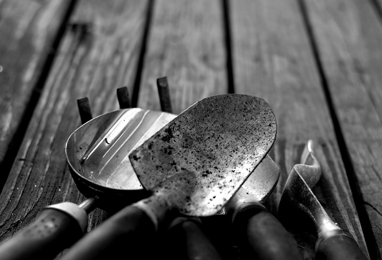 Outils de jardinage posés sur un établi en bois, sécateur, gants, déplantoir et arrosoir, vue à plat