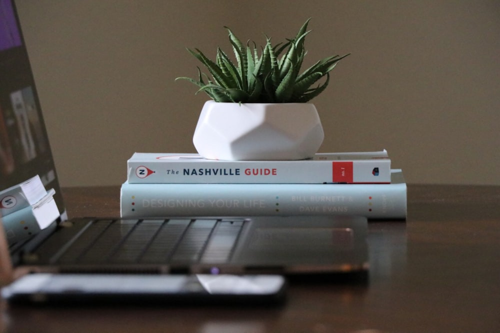 selective focus photography of plant placed on two books