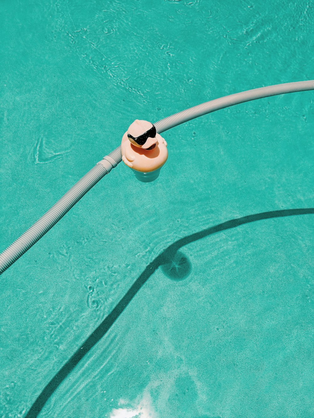 yellow rubber duck on pool