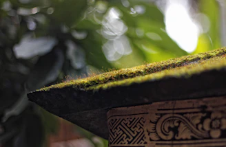 Close-up of delicate glowing runes etched into moss-covered stones.