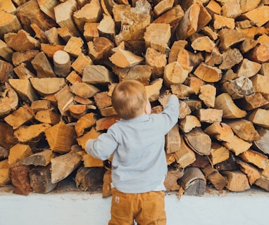 boy holding brown log