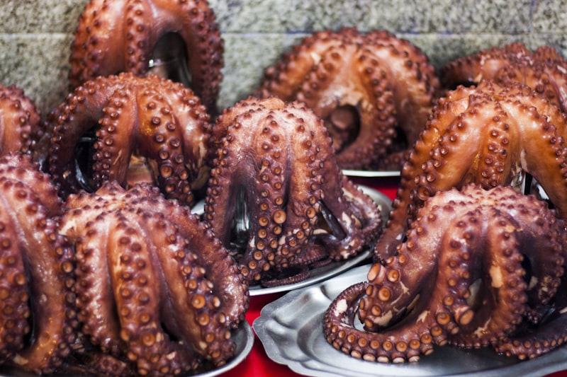 Whole cooked octopuses resting on trays, ready to be sliced for pulpo á feira