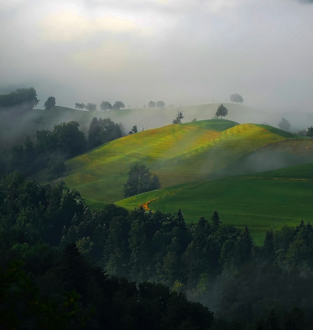 green field painting