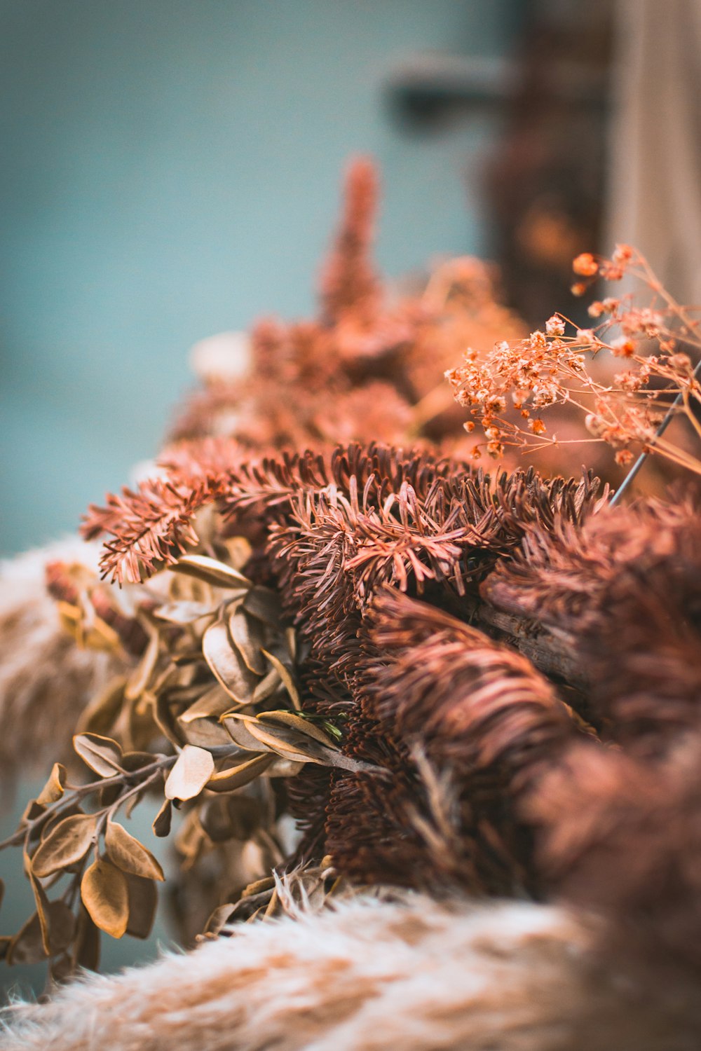 selective focus photography of dried leaves