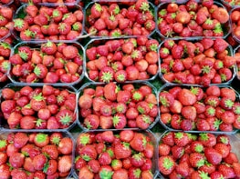Multiple plastic containers filled with ripe, red strawberries. Each container is packed with vibrant strawberries featuring green leafy tops, arranged in a neat grid-like pattern. The strawberries are shiny and fresh-looking.
