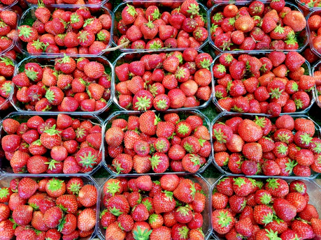 Large pallets of strawberries loaded onto a delivery truck for corporate clients.