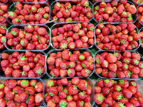 Close-up of freshly packed vibrant fruits in hygienic trays ready for shipment.