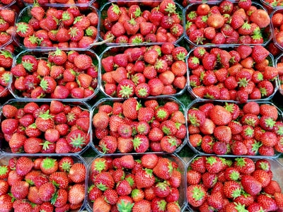 Multiple plastic containers filled with ripe, red strawberries. Each container is packed with vibrant strawberries featuring green leafy tops, arranged in a neat grid-like pattern. The strawberries are shiny and fresh-looking.
