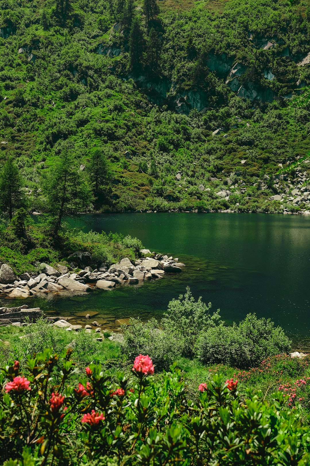 Nature reserve photo spot Valle Rendena Lago di Cei