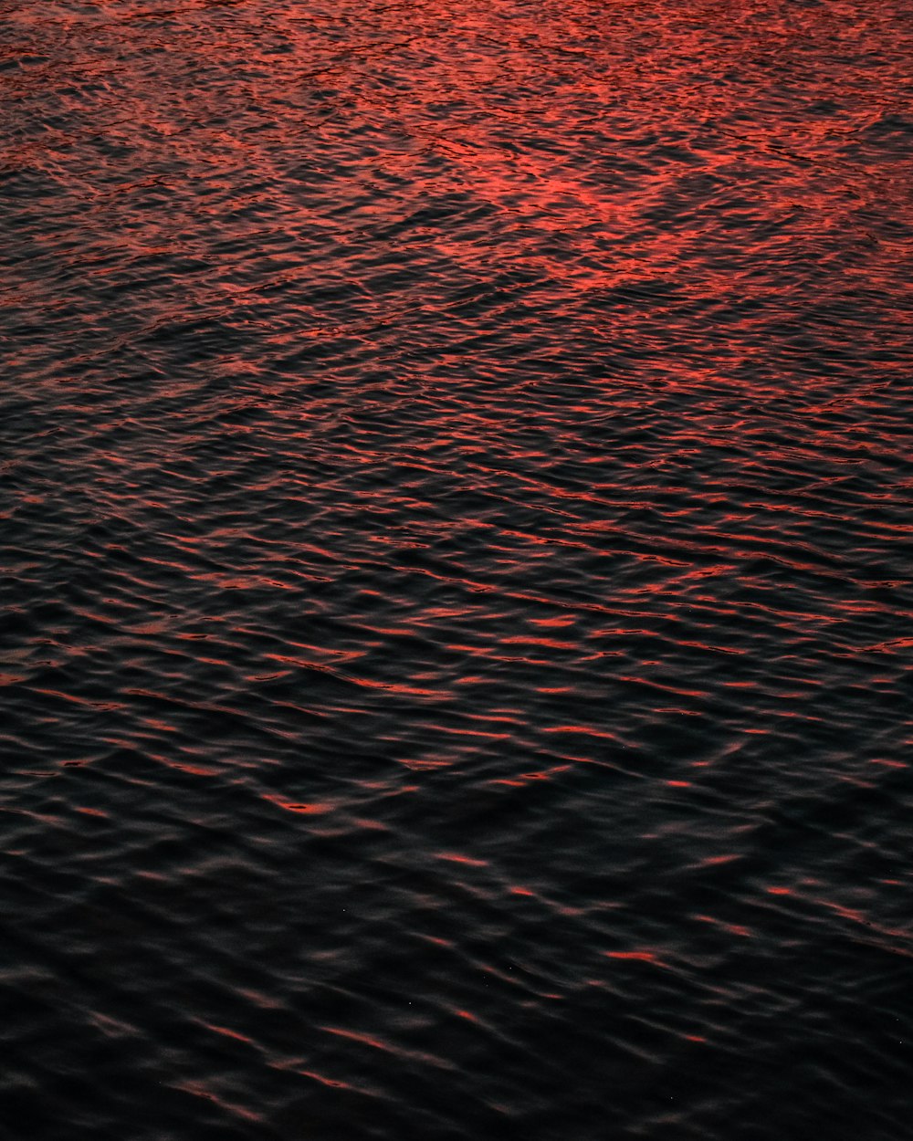 specchio d'acqua durante il tramonto