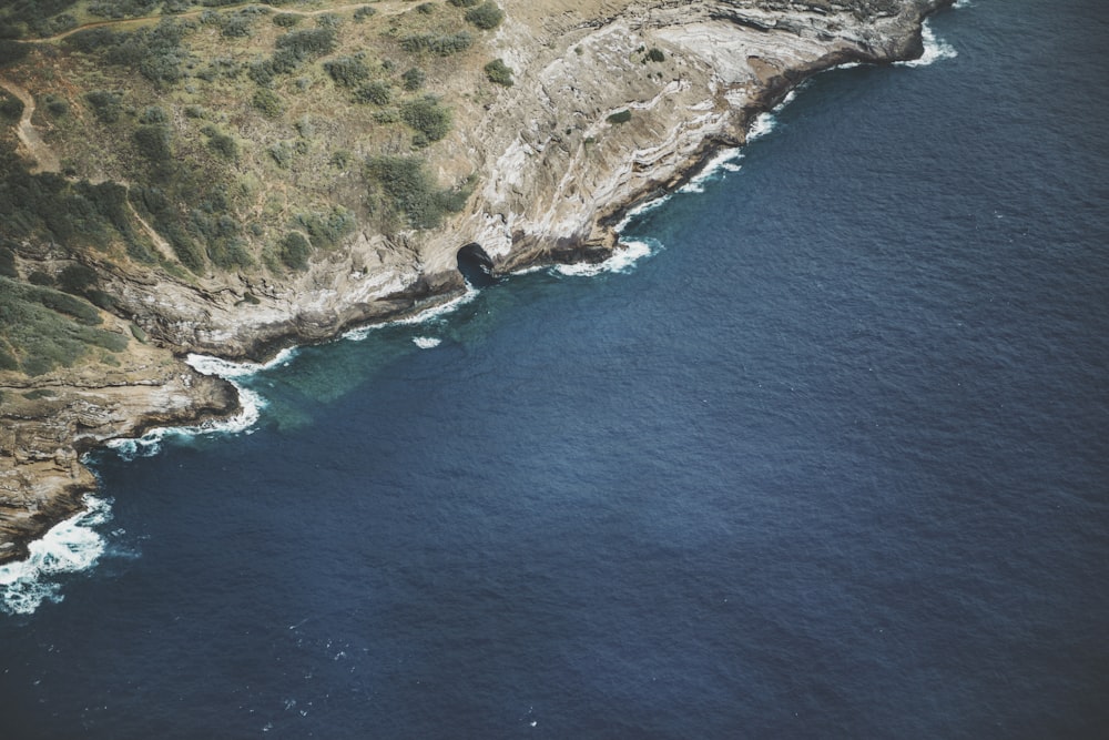 bird's eye view of seashore during daytime