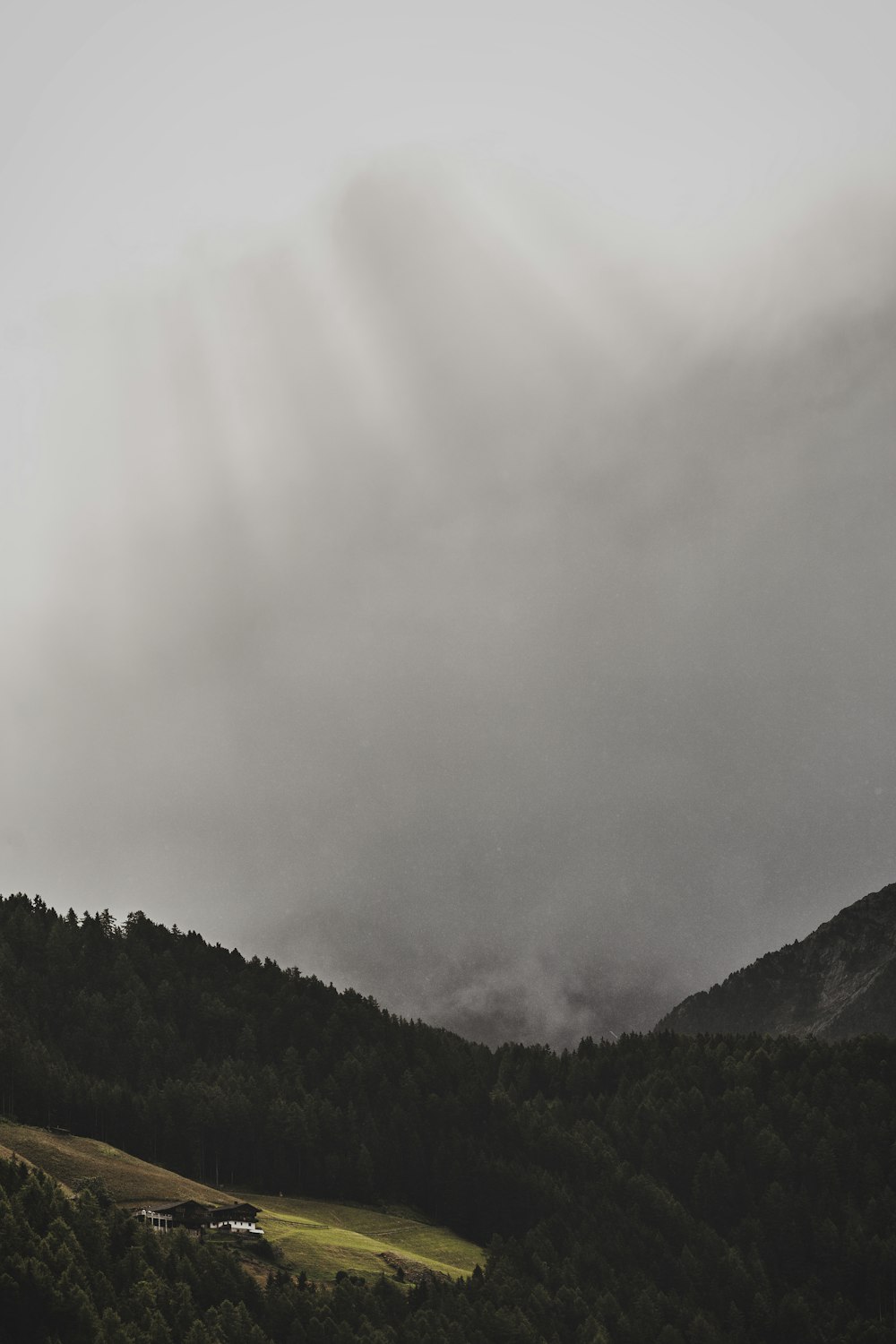 Vista de pájaro de la montaña del bosque con niebla