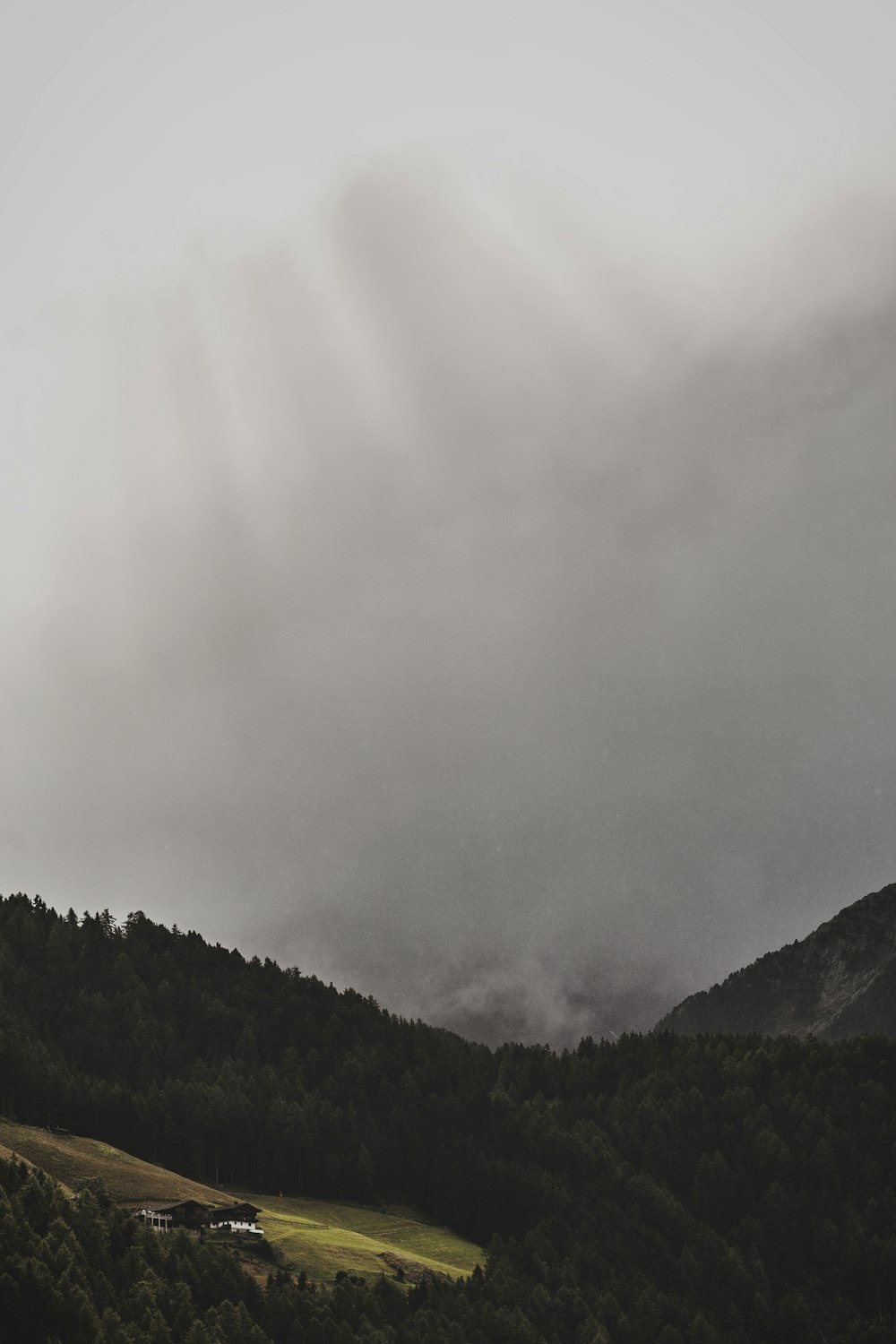 bird's eye view of forest mountain with fog