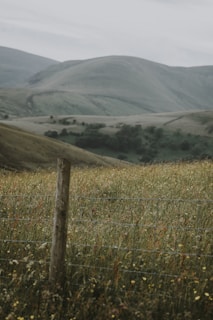 barb wire first fence of idaho