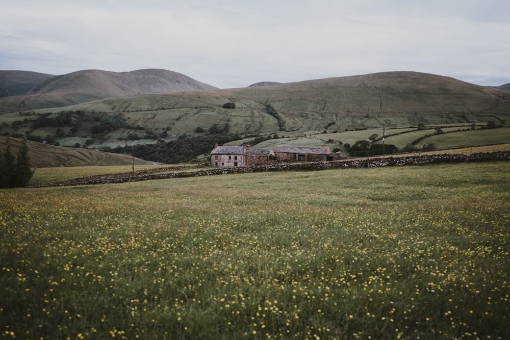 brown house and mountain range in landscape photography