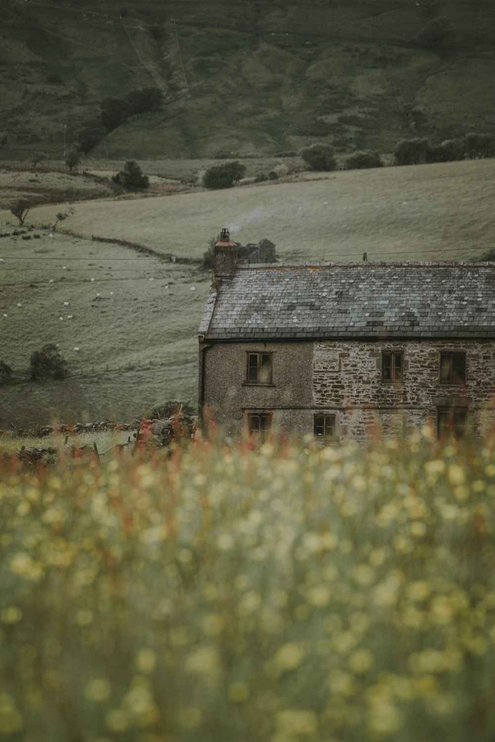 selective focus photo of brick wall house at distance