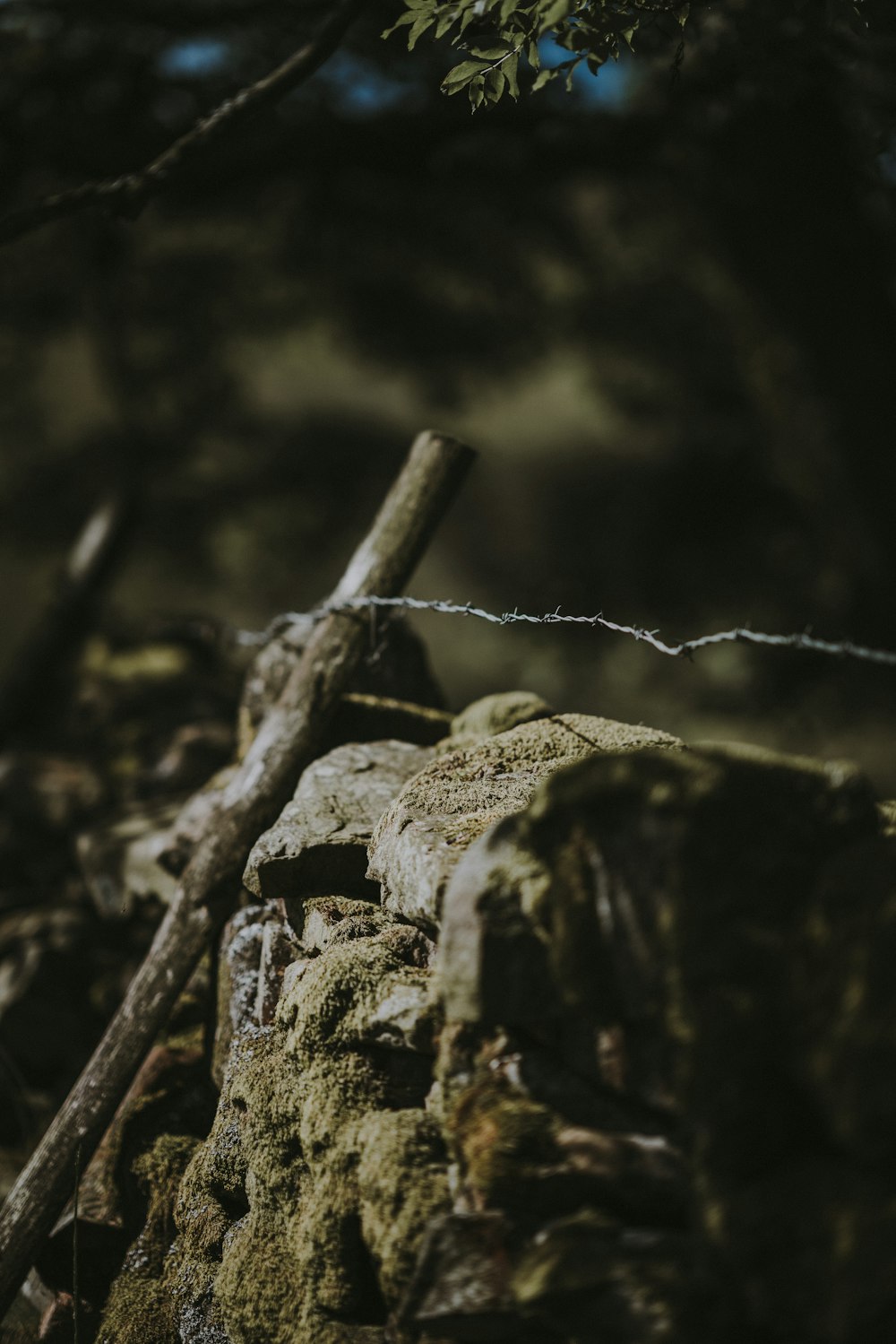 a wooden stick sticking out of a rock wall