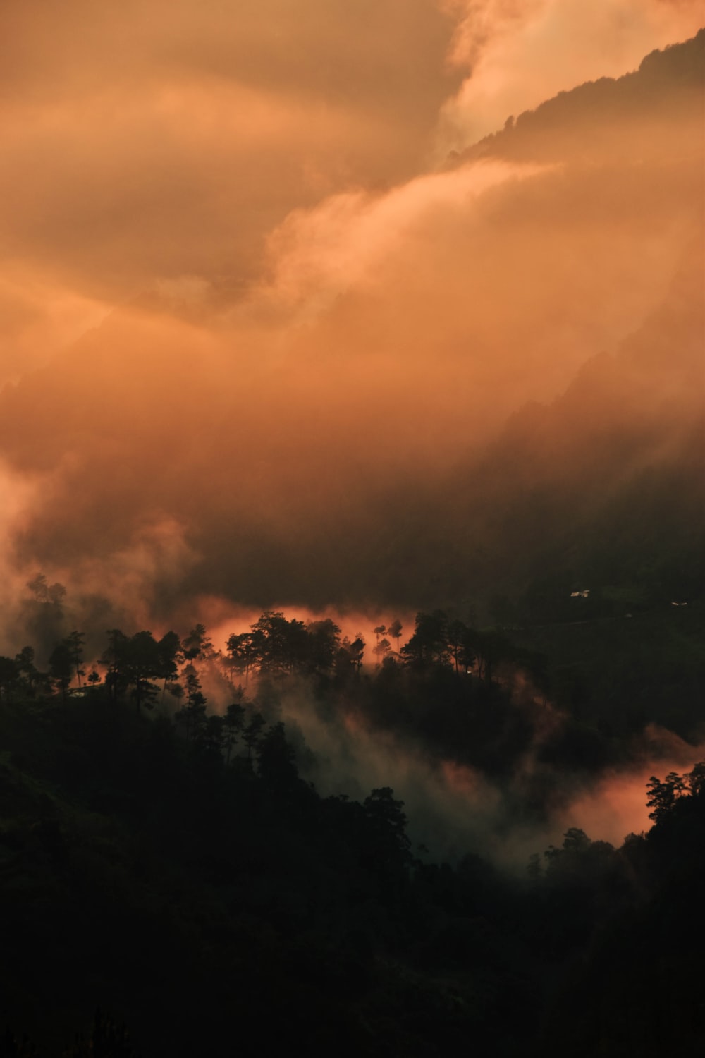 mountain covered with green trees under nimbus clouds