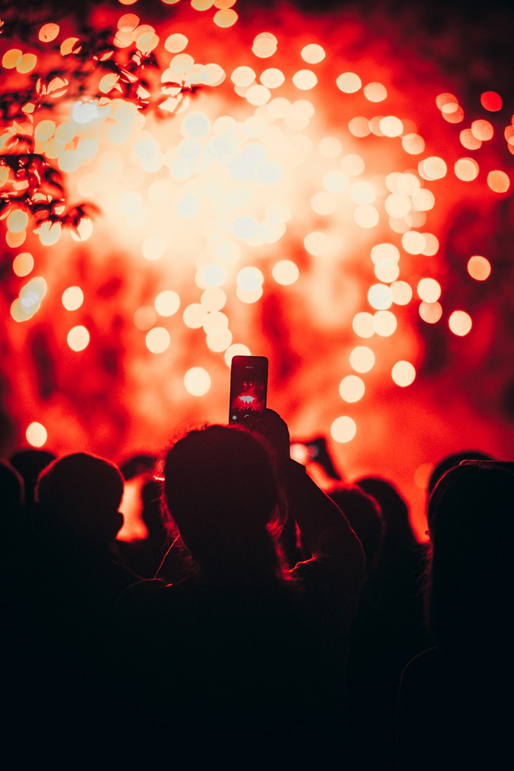 person taking picture of fireworks