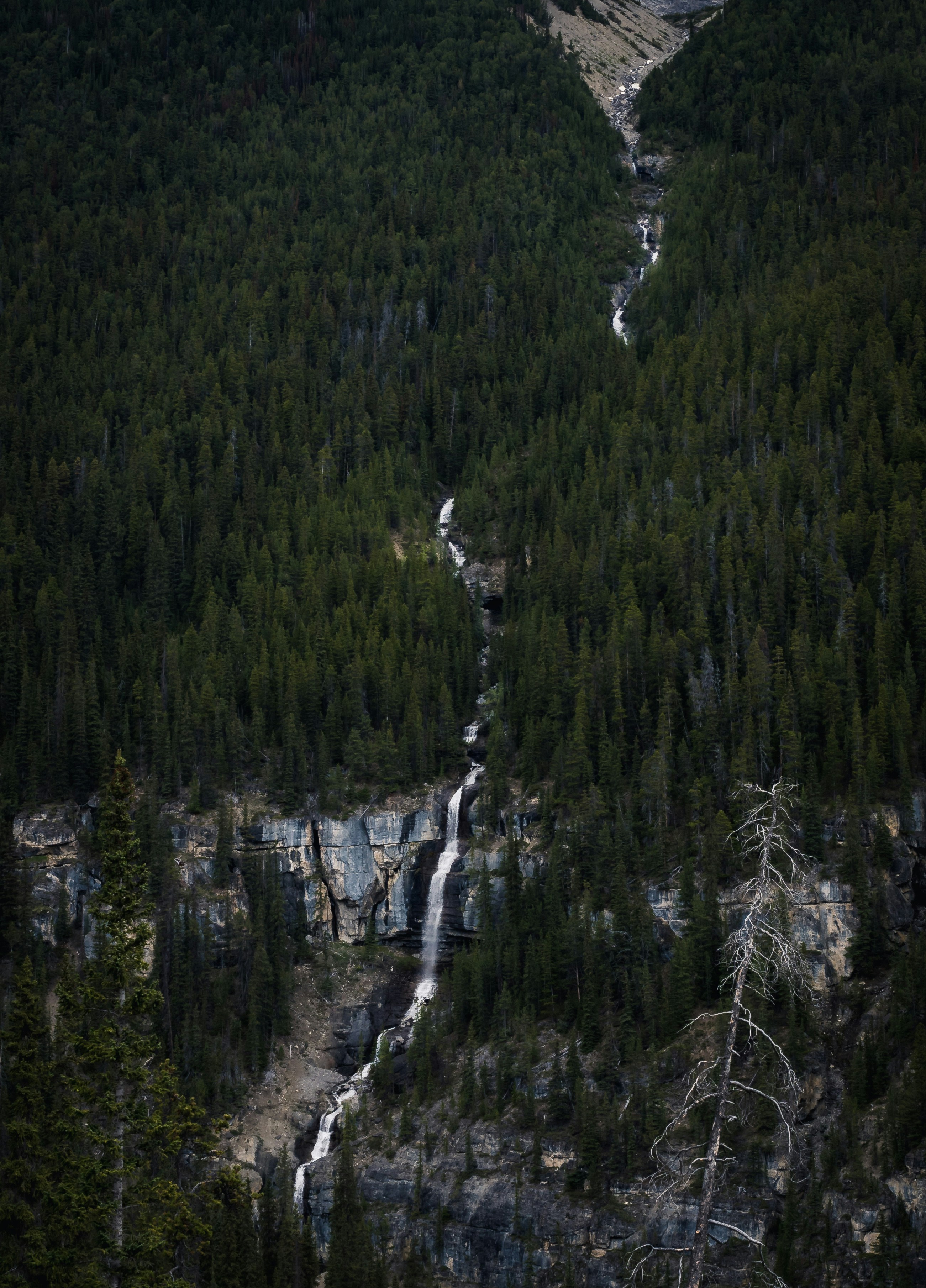 Images of Waterfall Trail