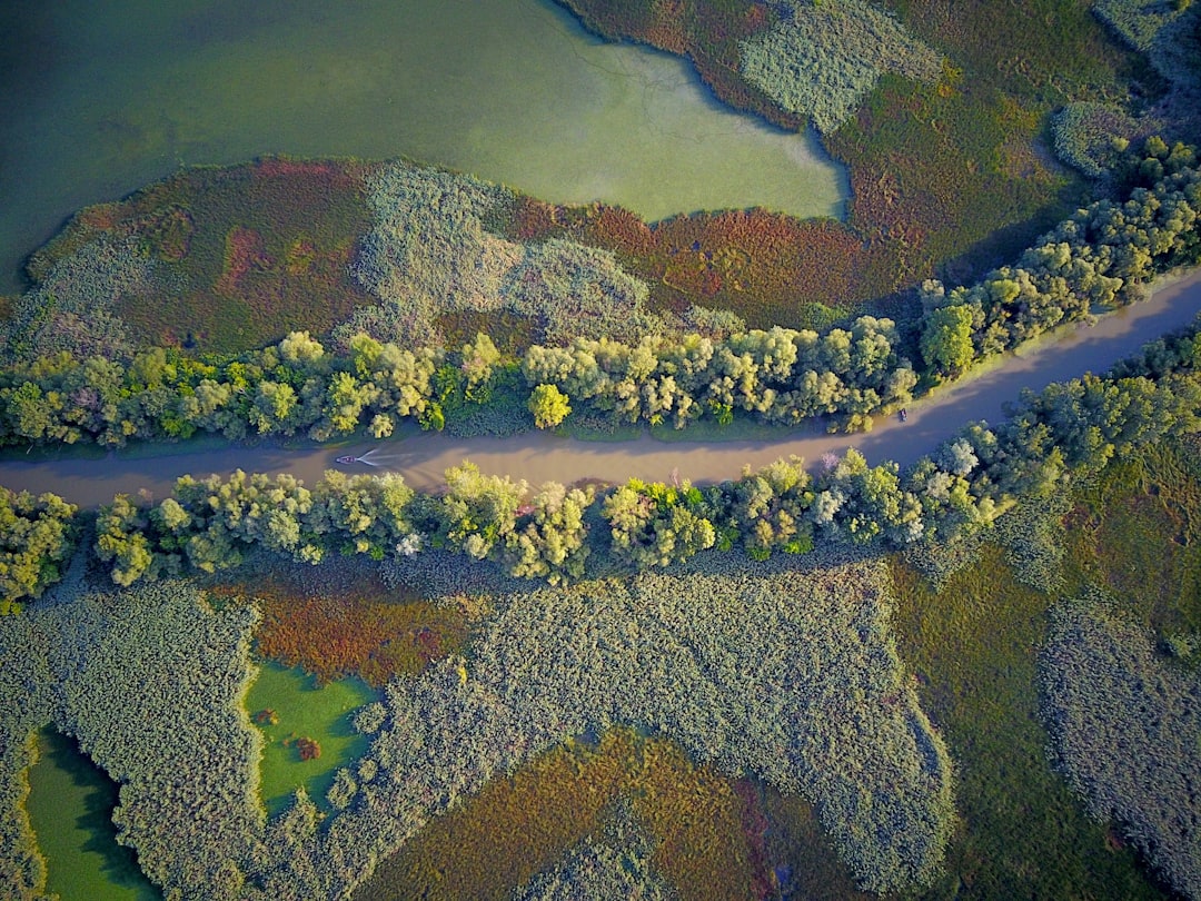 travelers stories about Watercourse in TiszaszÅ‘lÅ‘s, Hungary