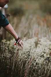 a person reaching for a flower in a field