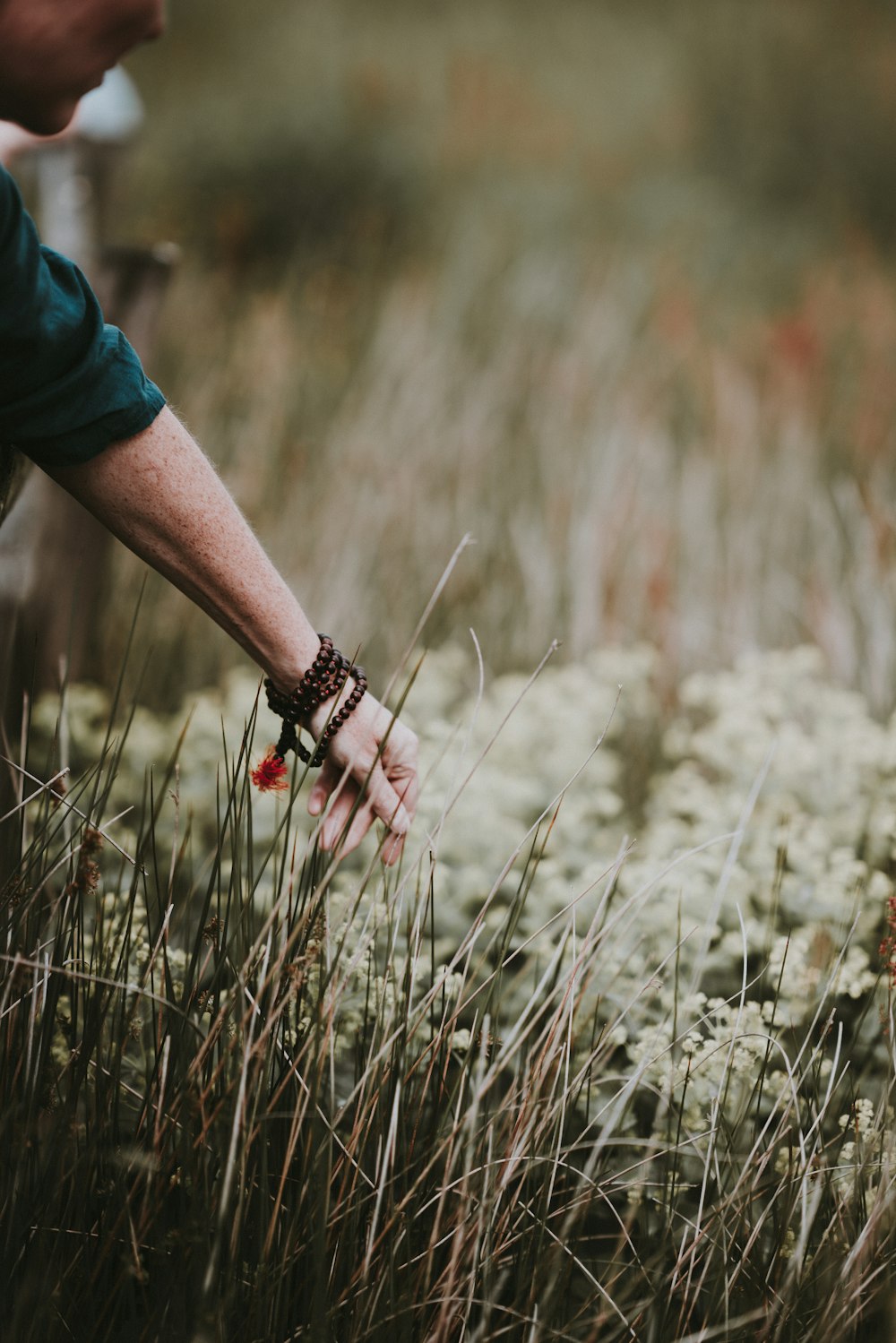 Una persona que busca una flor en un campo