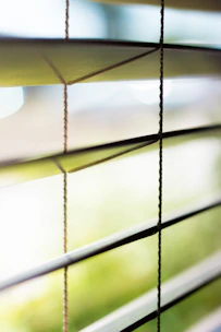 Elegant roman window shades filtering soft daylight into a stylish living room.