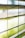 Horizontal window blinds partially open, allowing soft natural light to filter through, creating an interplay of light and shadow. The background is blurred, giving a serene and peaceful atmosphere.