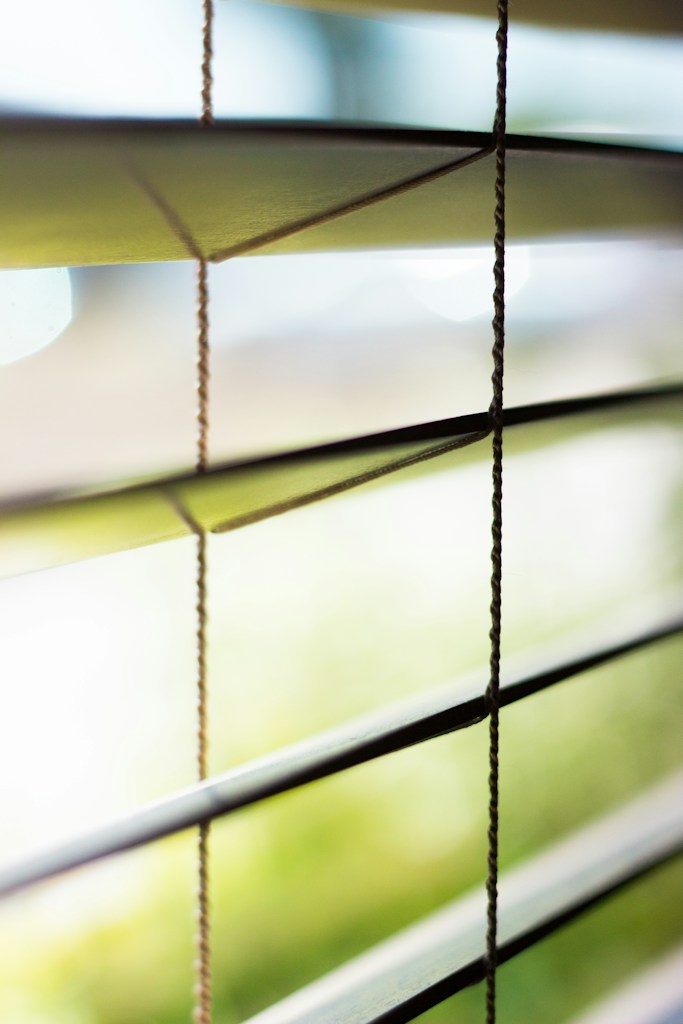 Patterned Interior Blinds