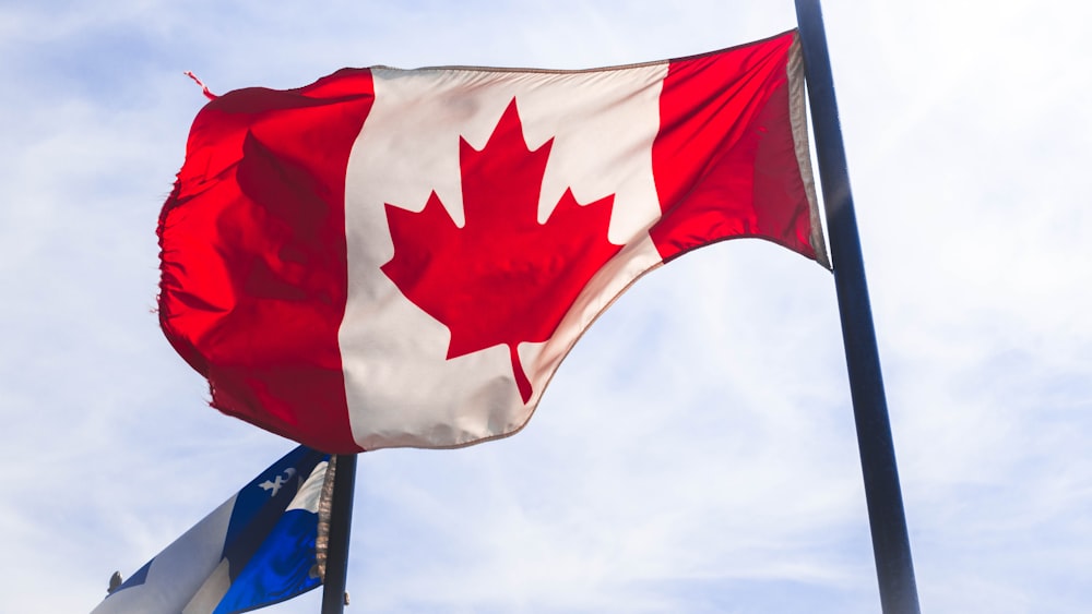 Bandera de Canadá ondeando durante el día
