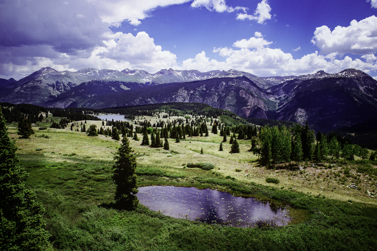 A small pond in a green meadow below the San Juan Mountains, near Molas Pass