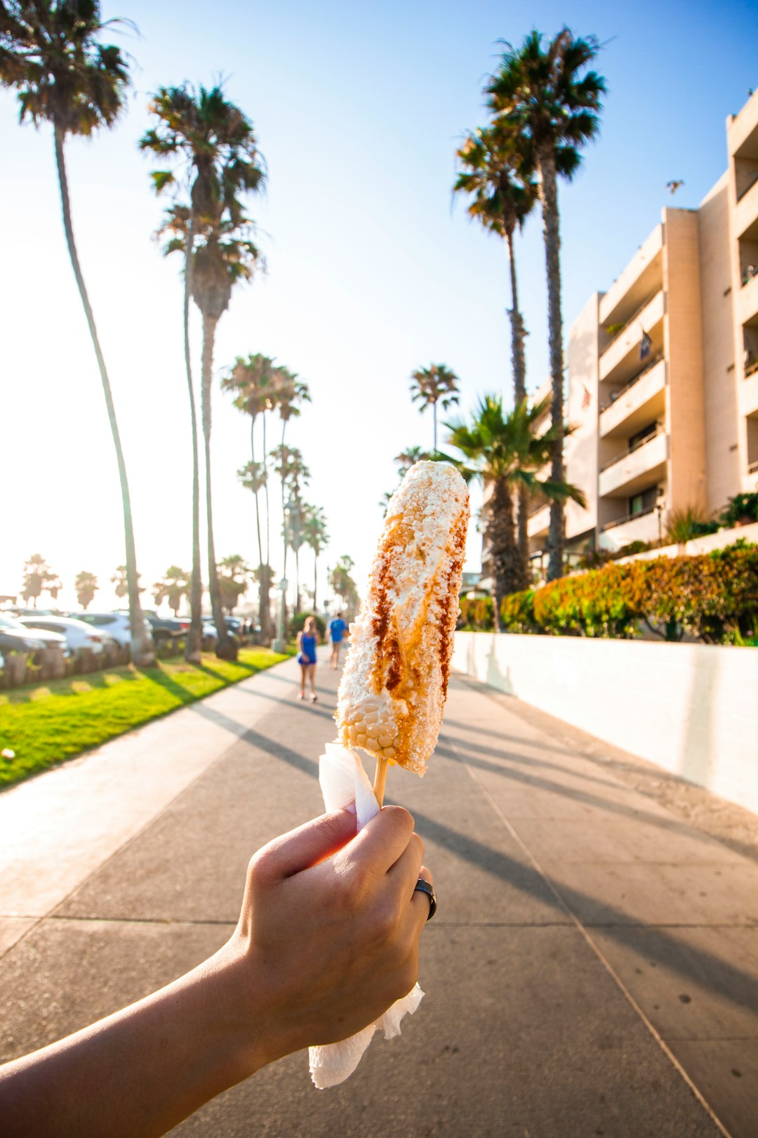 person holding corn