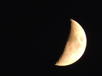 A moonlit night sky with a detailed crescent moon printed on a soft cotton shirt.