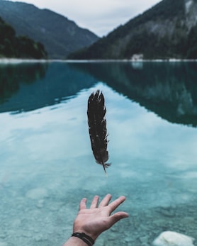 person attempting to grab feather floating beside water
