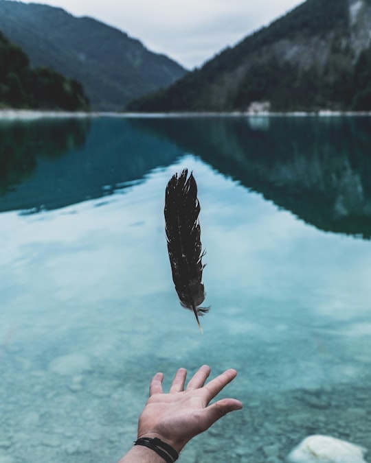 person attempting to grab feather floating beside water in Sylvenstein Lake Germany