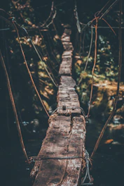 hanging bridge above water