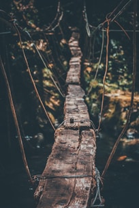 hanging bridge above water
