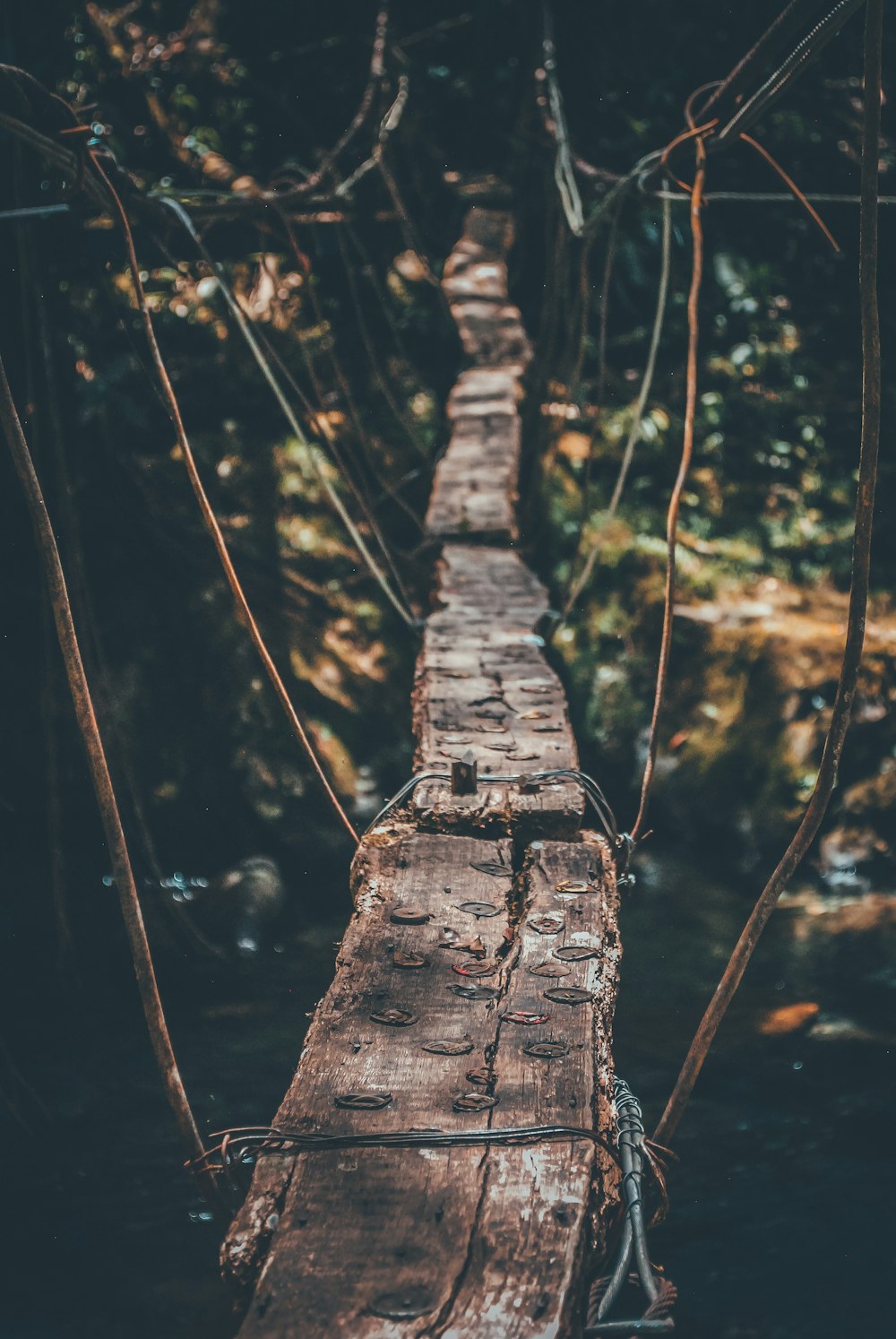 Puente colgante sobre el agua