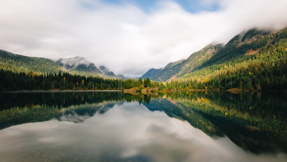 body of water surrounded by trees