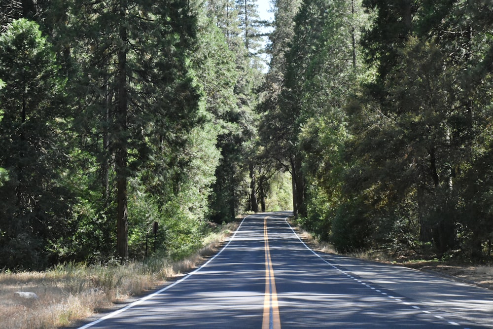 gray pavement road