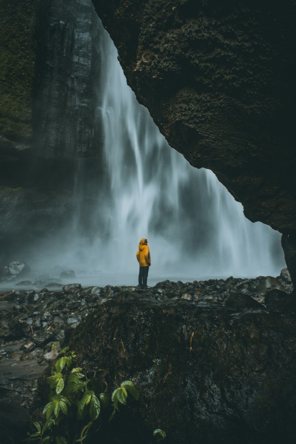 person standing near waterfalls